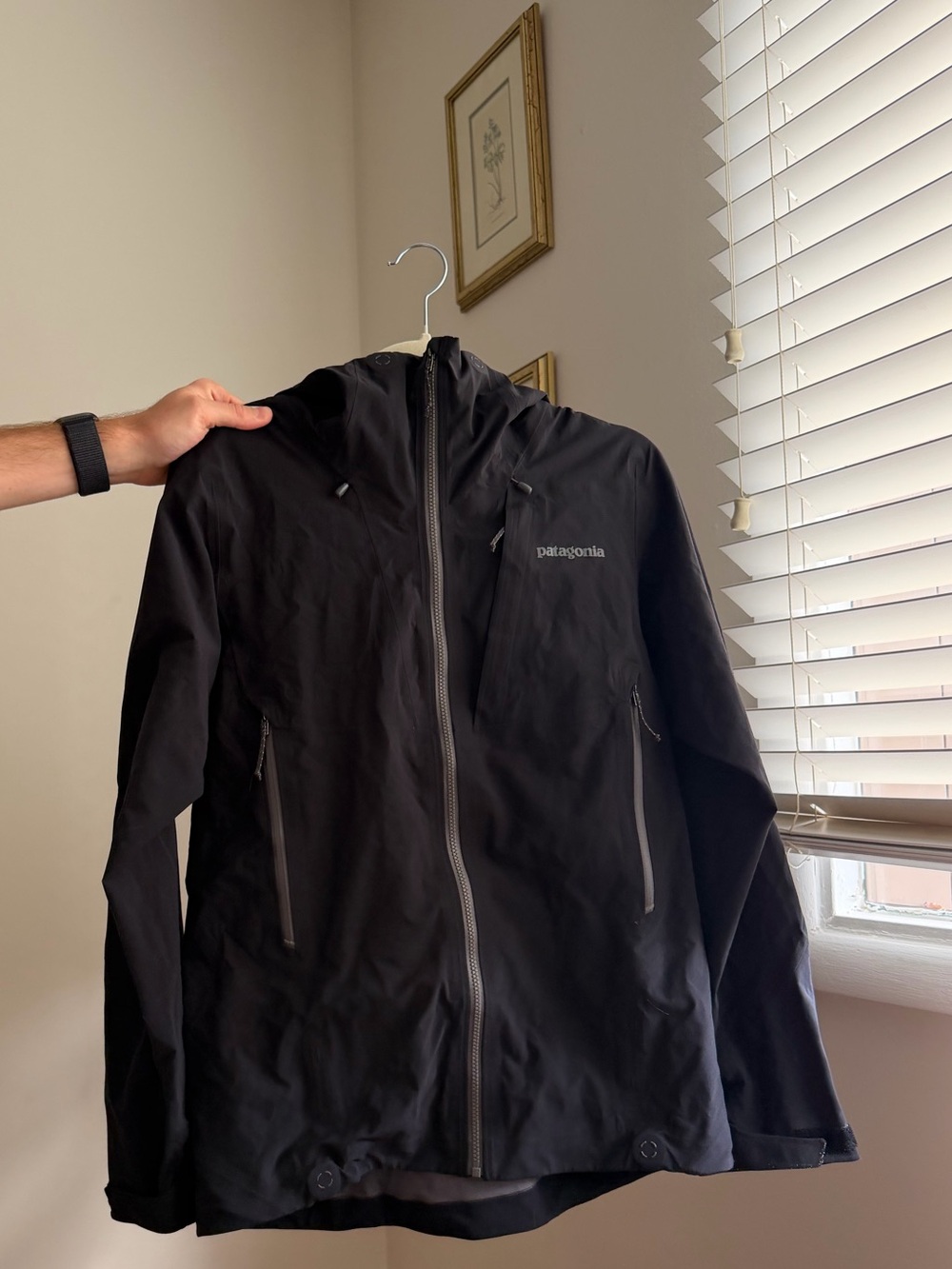 Patagonia Black womens ski jacket